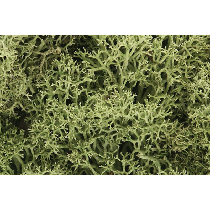 WOODLAND SCENICS WL161 LICHEN SPRING GREEN