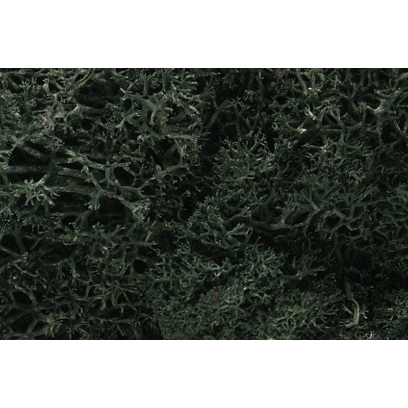 WOODLAND SCENICS WL164 LICHEN DARK GREEN