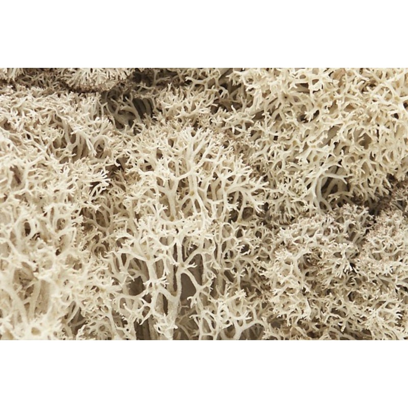 WOODLAND SCENICS WL166 LICHEN NATURAL