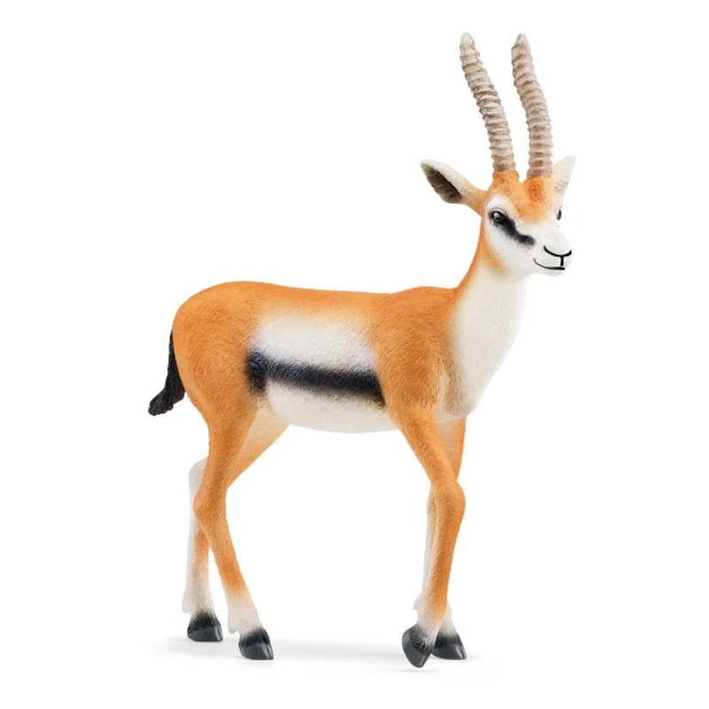 SCHLEICH 14861 WILD LIFE THOMSON GAZELLE