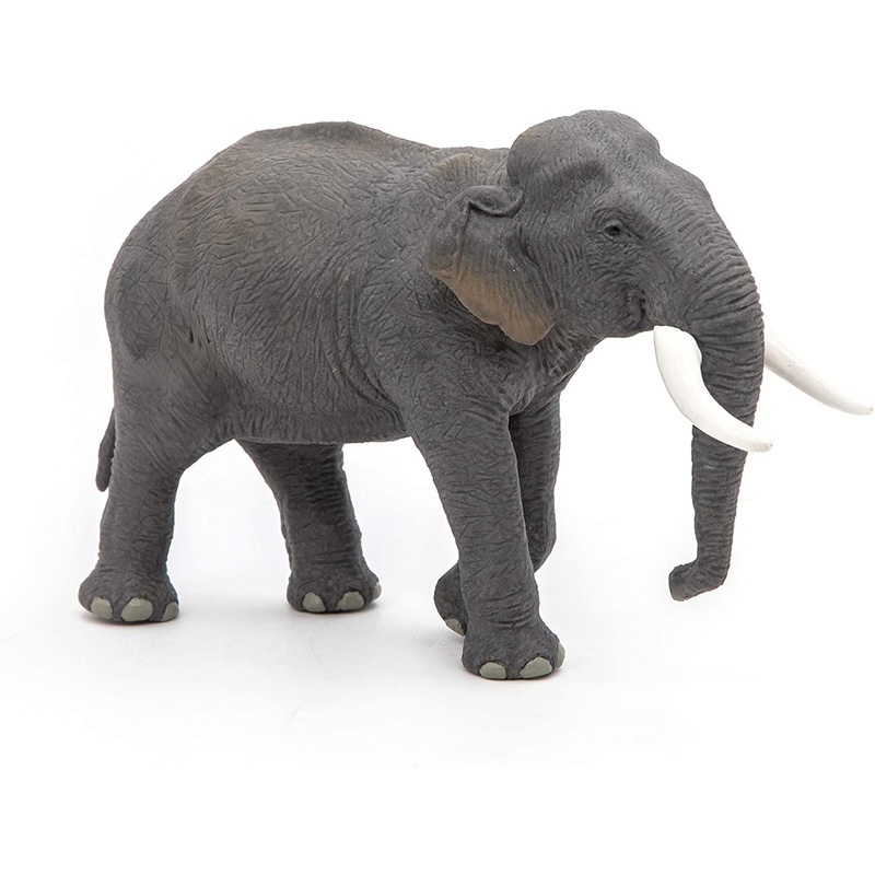 PAPO 50131 ASIAN ELEPHANT