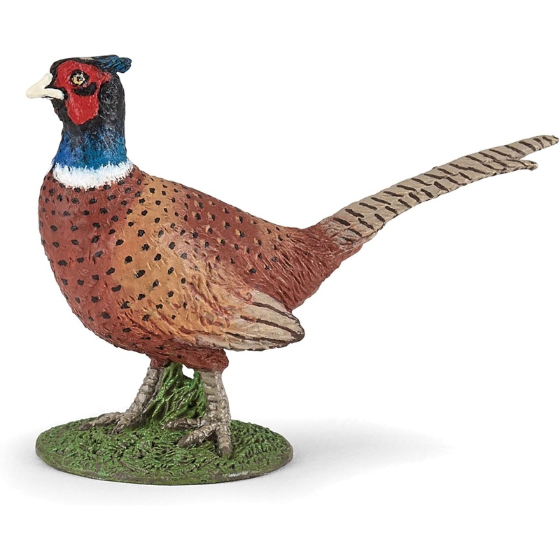 PAPO 50263 PHEASANT