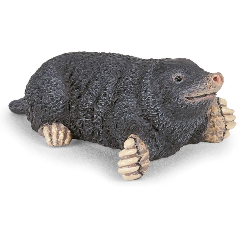 PAPO 50265 MOLE