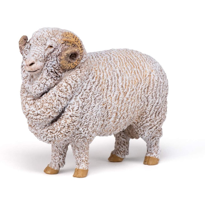 PAPO 51174 MERINOS SHEEP