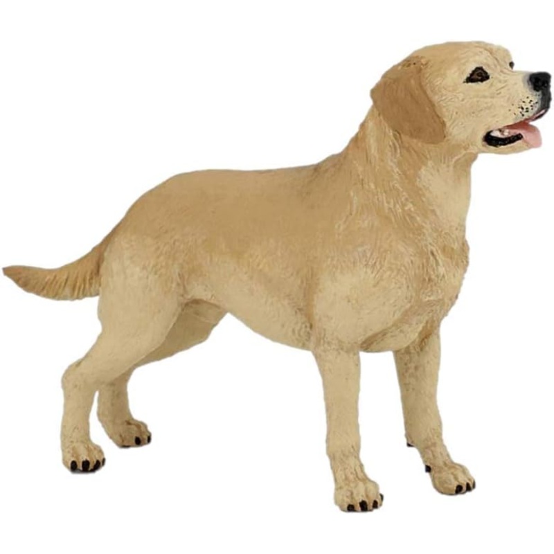 PAPO 54029 LABRADOR