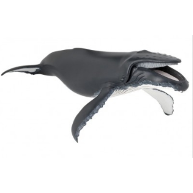 PAPO 56001 HUMPBACK WHALE