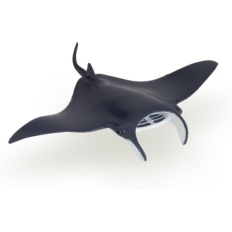 PAPO 56006 MANTA RAY