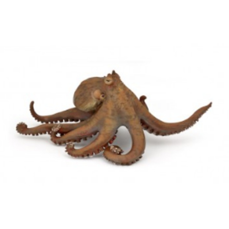 PAPO 56013 OCTOPUS