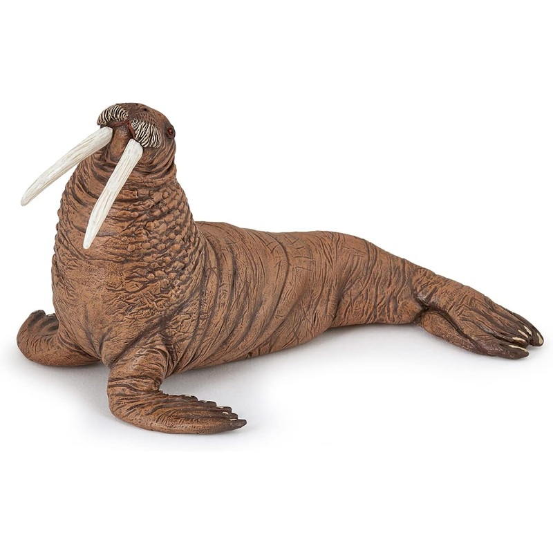 PAPO 56030 WALRUS