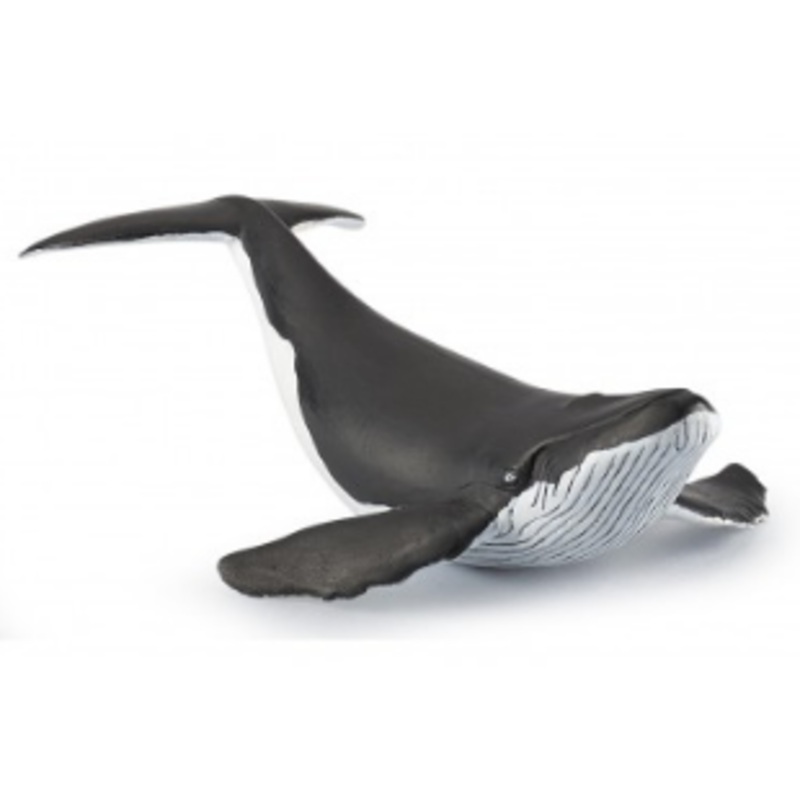 PAPO 56035 WHALE CALF
