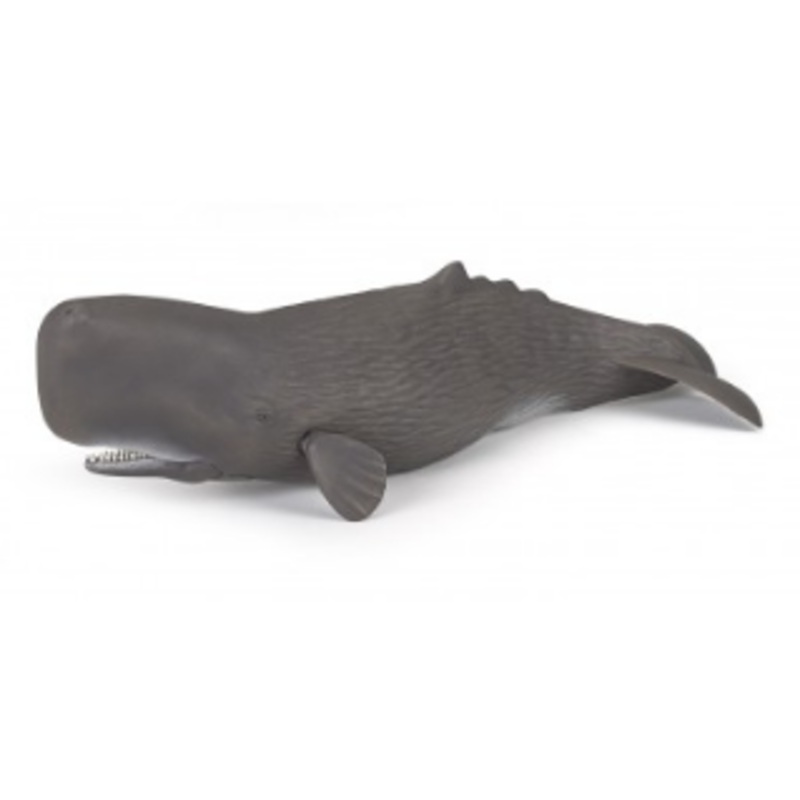PAPO 56036 SPERM WHALE