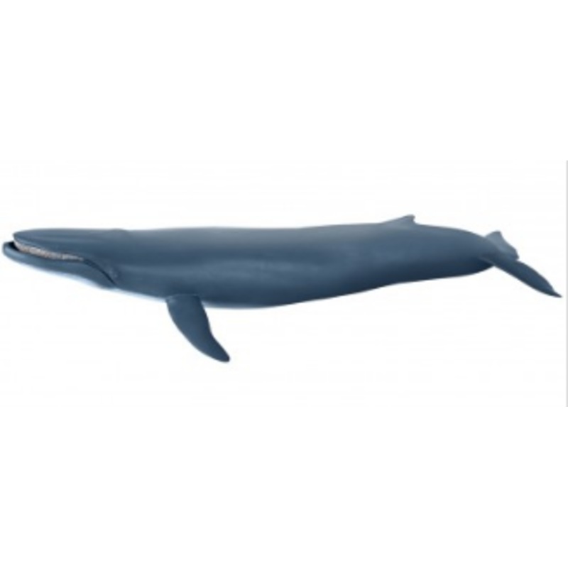 PAPO 56037 BLUE WHALE