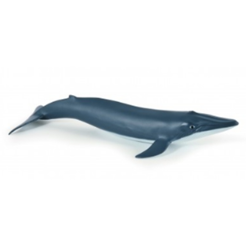 PAPO 56041 BLUE WHALE CALF