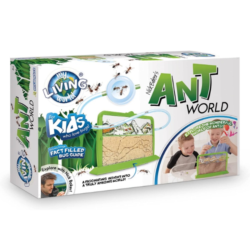MY LIVING WORLD LW101 ANT WORLD