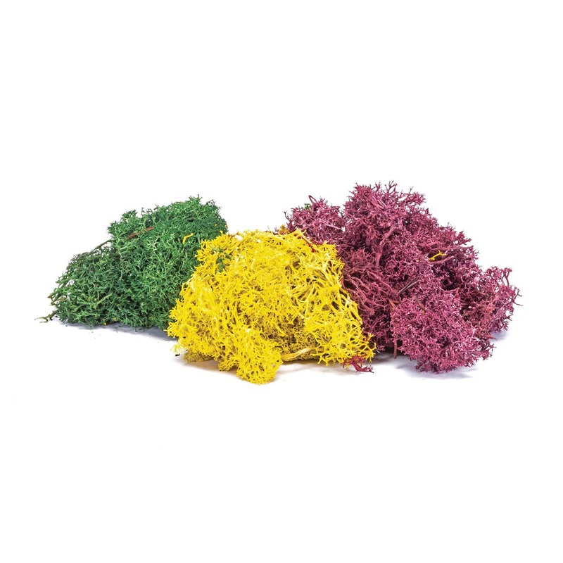 Hornby R7196 Lichen - Autumn Mix