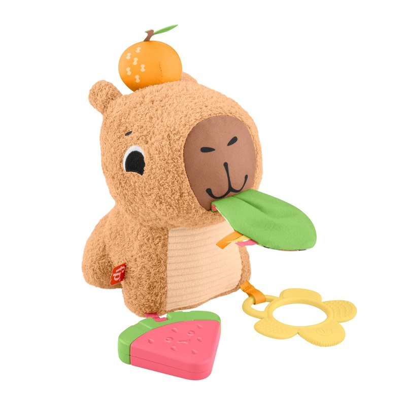 FISHER PRICE HYR54 SNUGGLY SNACKY CAPYBARA