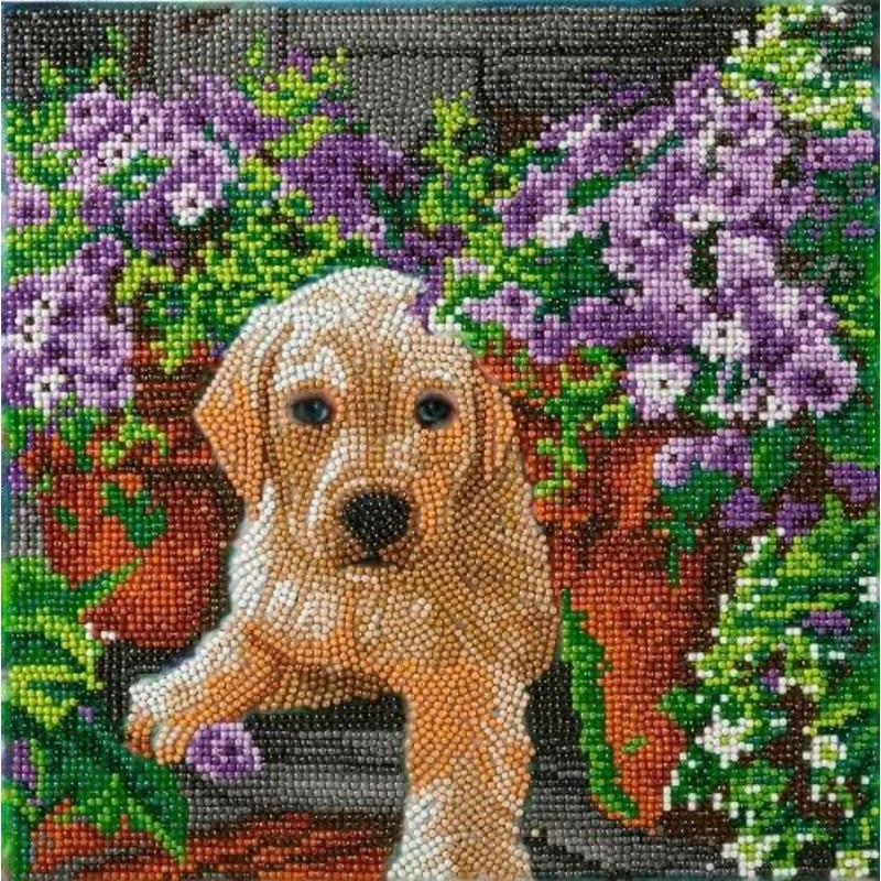 CRAFT BUDDY CAK-A182M FLORAL PUP CRYSTAL ART FRAMED CANVAS KIT