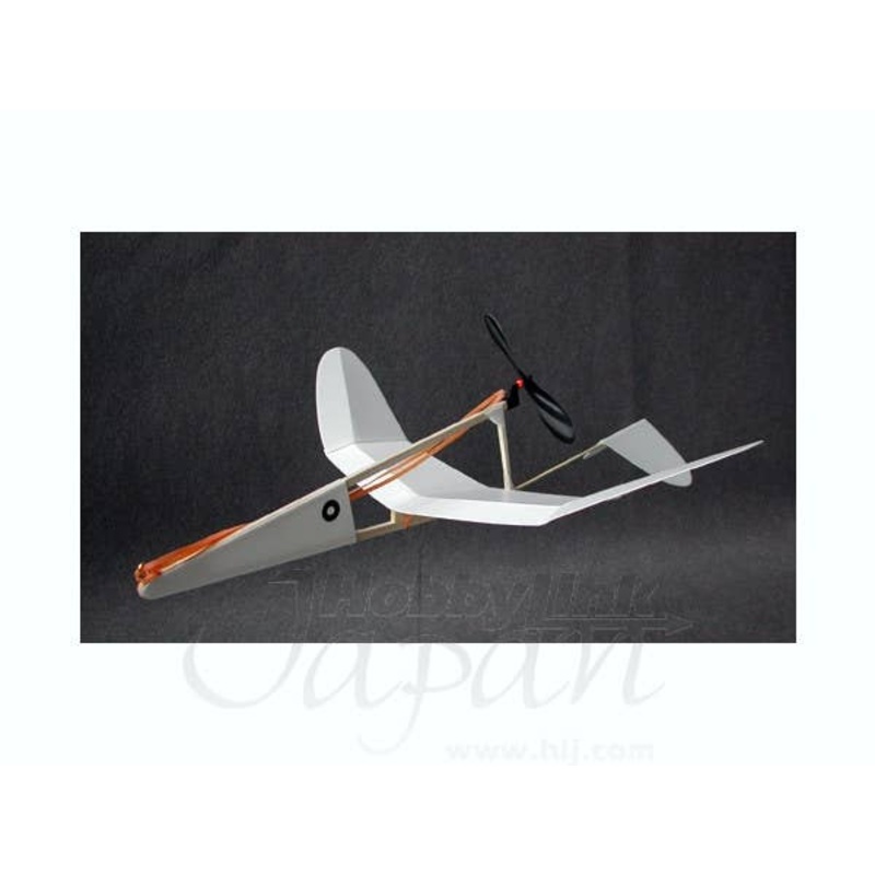 Crow Shaped Plane