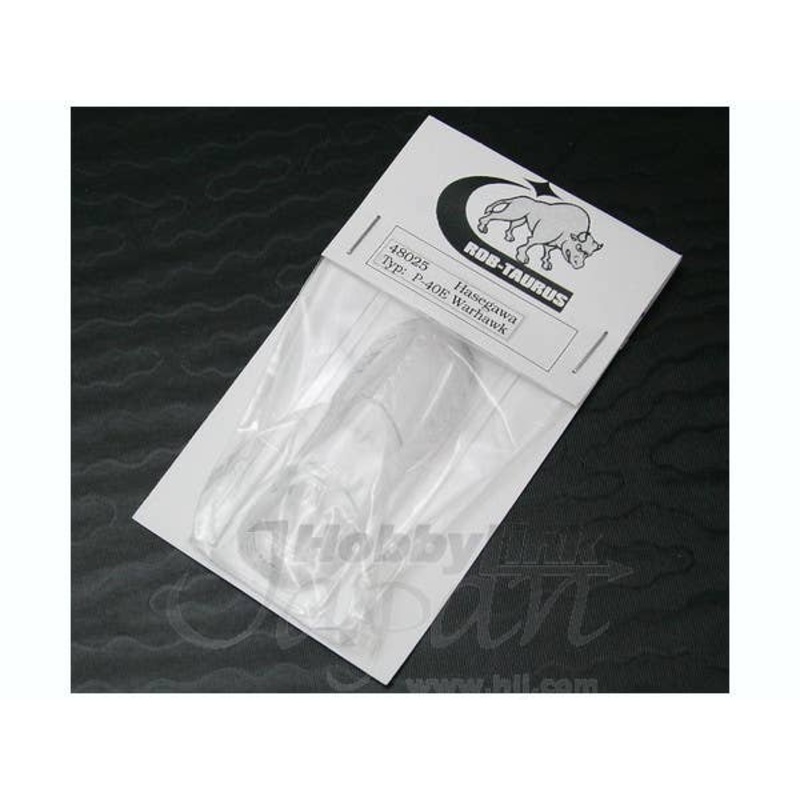 1/48 P-40E Canopy (for Hasegawa)