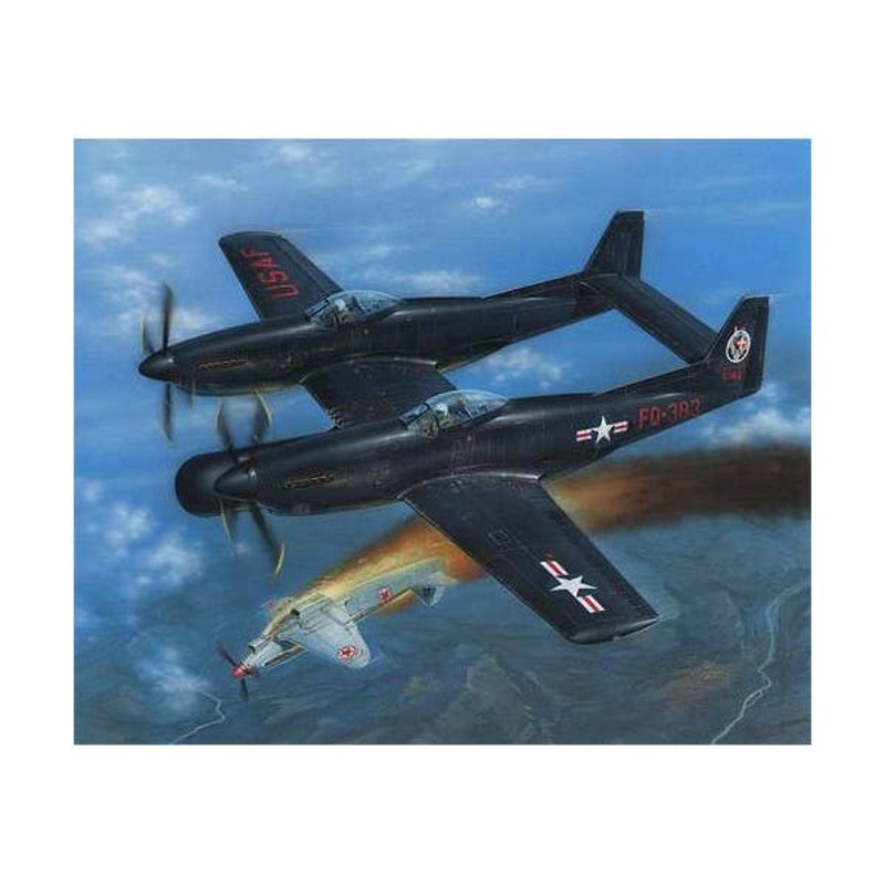 1/72 F-82G Twin Mustang