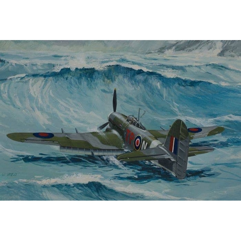 1/72 Typhoon Mk.Ib Car doors EARLY-MID and MID