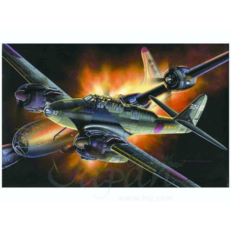 1/72 Nakajima J1N2 Gekko (Irving) Type 21