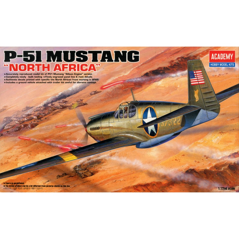 1/72 P-51 Mustang North Africa