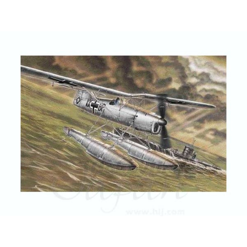 1/48 Arado Ar 231 V-1