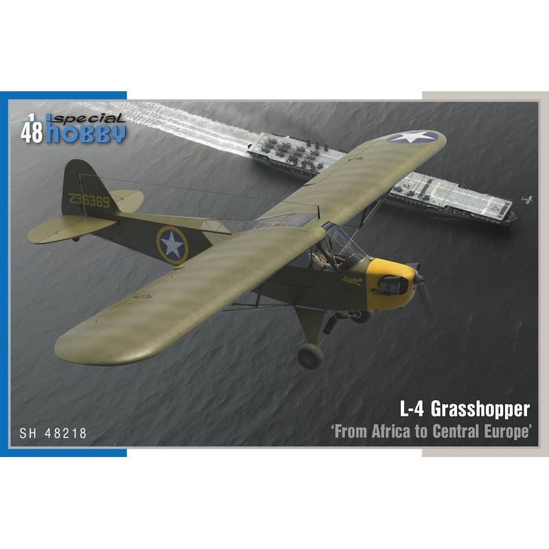 1/48 L-4 Grasshopper 'From Africa to Central Europe'