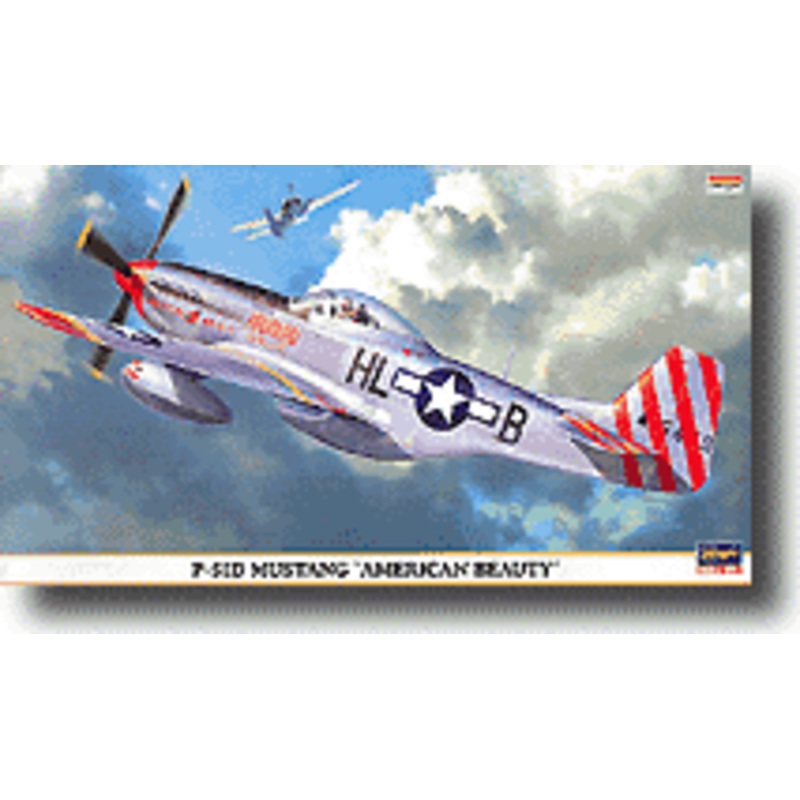 1/48 North American P-51D Mustang "American Beauty"
