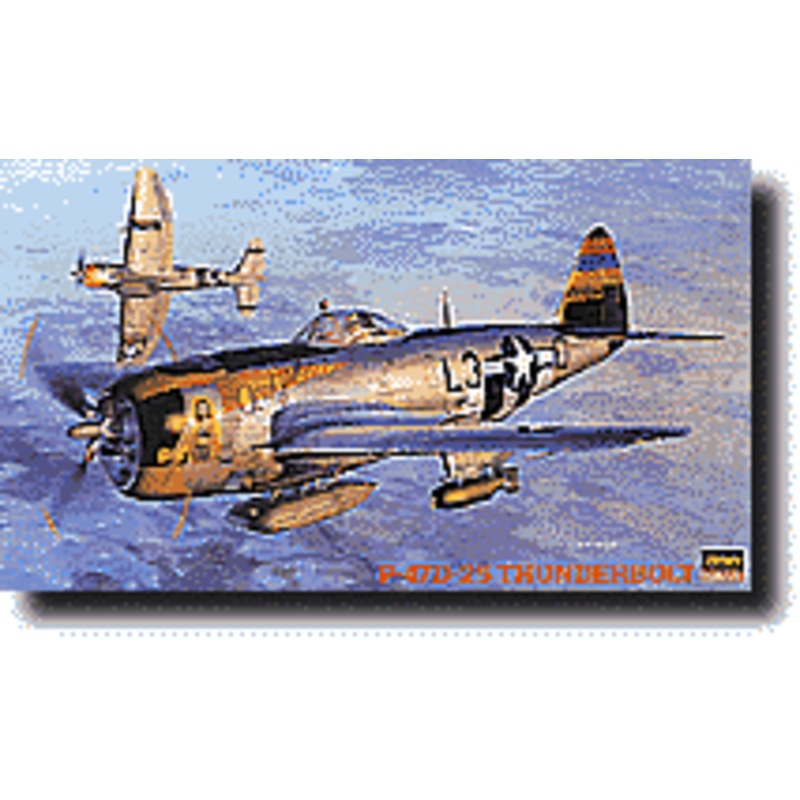 1/48 Republic P-47D-25 Thunderbolt