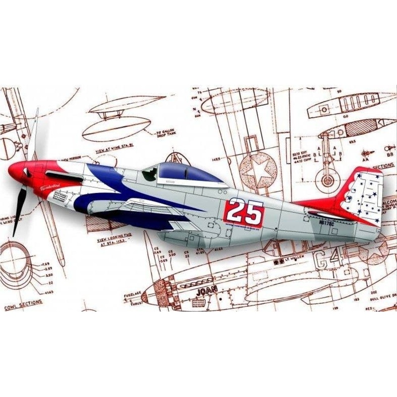 1/48 P-51D Mustang "Thunderbird"