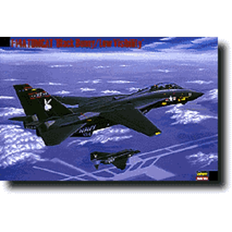 1/72 F-14A Tomcat Black Bunny "Low Visibility"