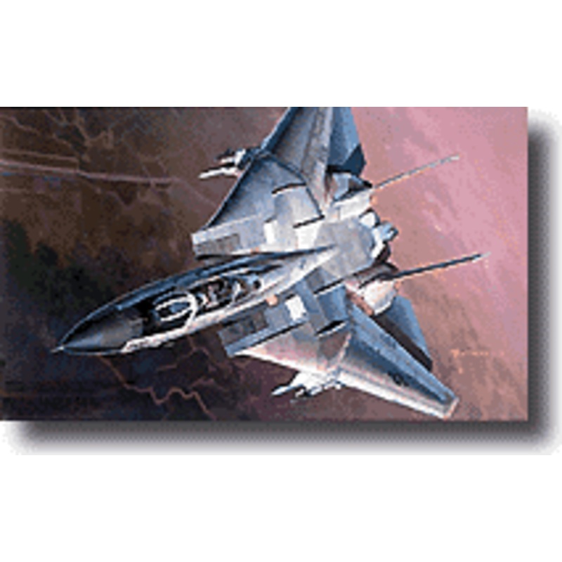 1/72 Grumman F-14D "Tomcatters"