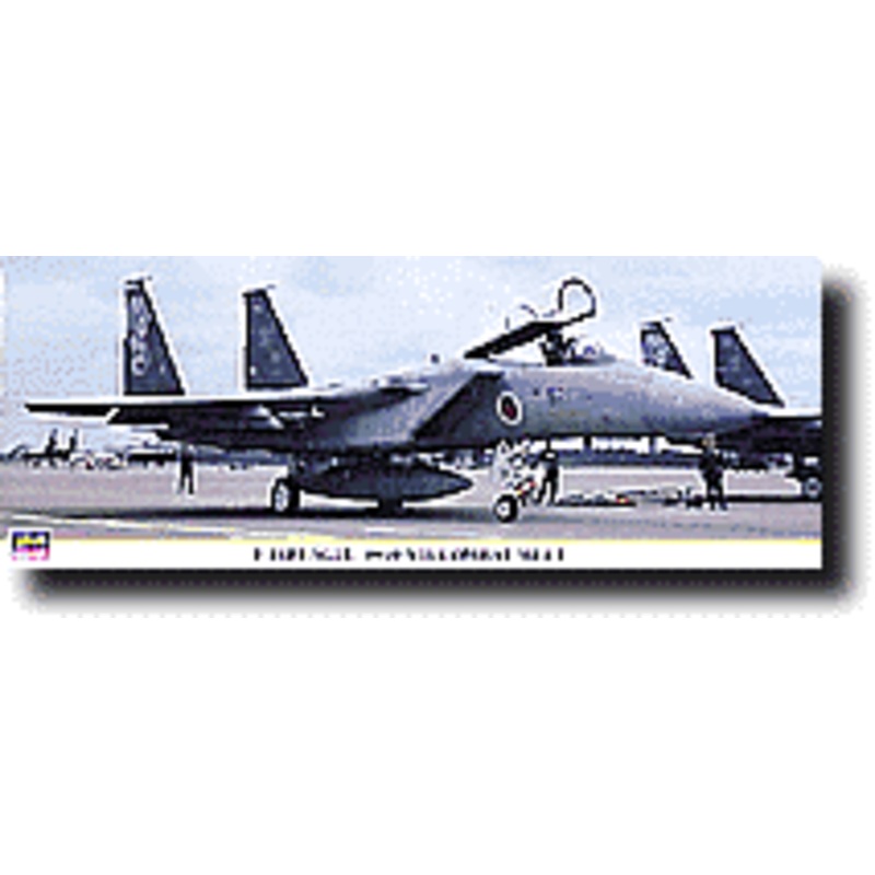 1/48 F-15J Eagle "1999 Air Combat Meet"