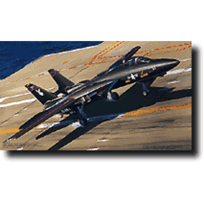 1/72 F-14A Tomcat Black Bunny