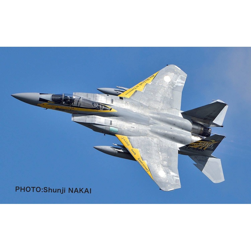 1/72 JASDF F-15J Eagle Komatsu Base Air Festival 2014 306th Squadron Golden Eagles Special Painting Machine
