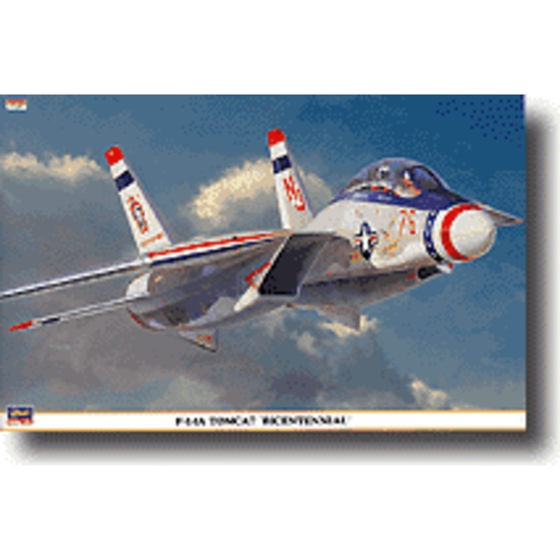 1/48 F-14A Tomcat Bicentennial