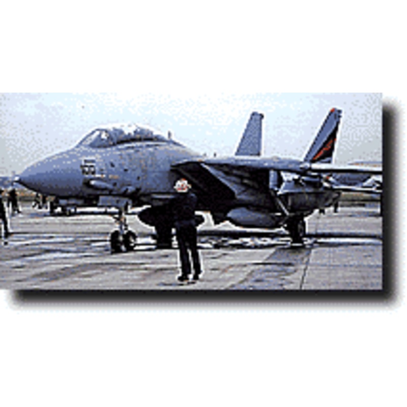 1/48 F-14A Tomcat "VF-154 USS Kitty Hawk"