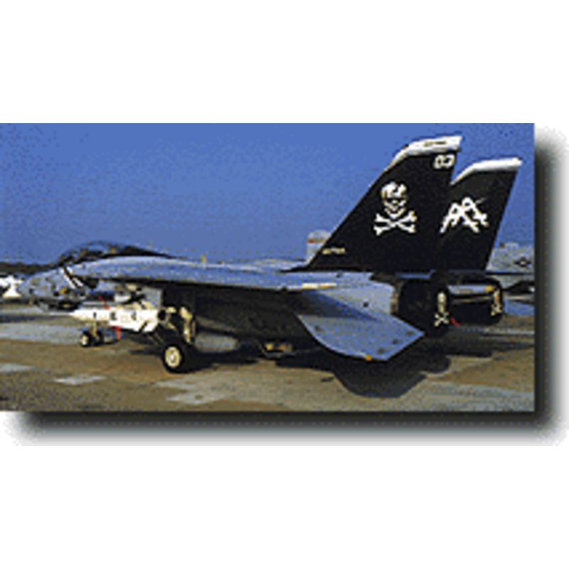 1/48 F-14B "VF-103 Jolly Rogers"
