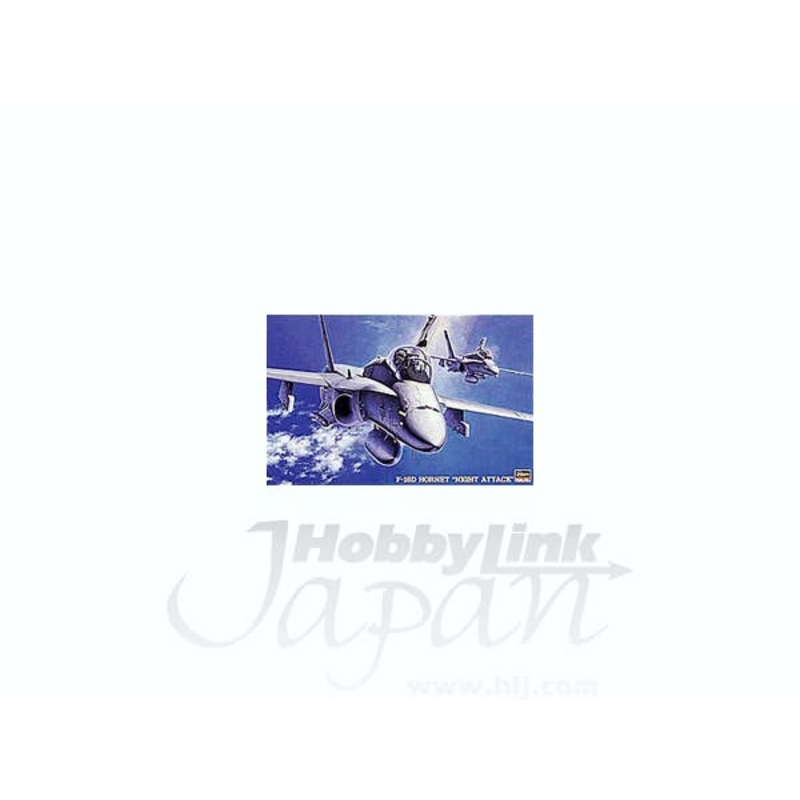1/48 F/A-18D Hornet "Night Attack"