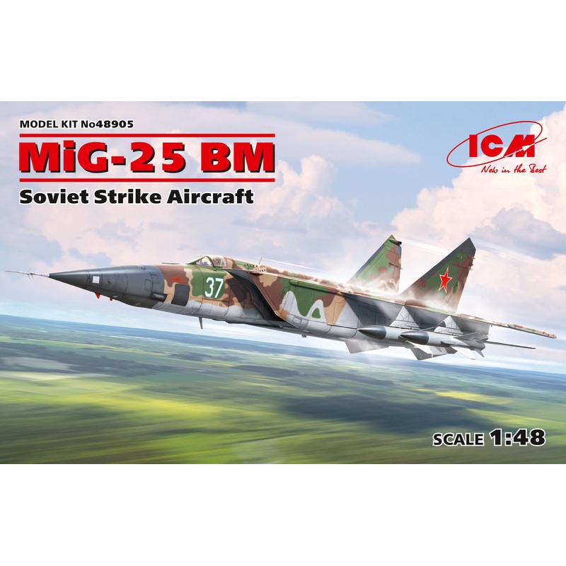 1/48 MiG-25 BM, Soviet Strike Aircraft