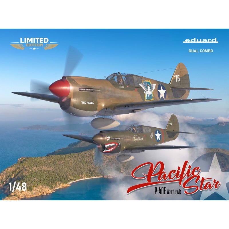 1/48 PACIFIC STAR P-40E Warhawk DUAL COMBO