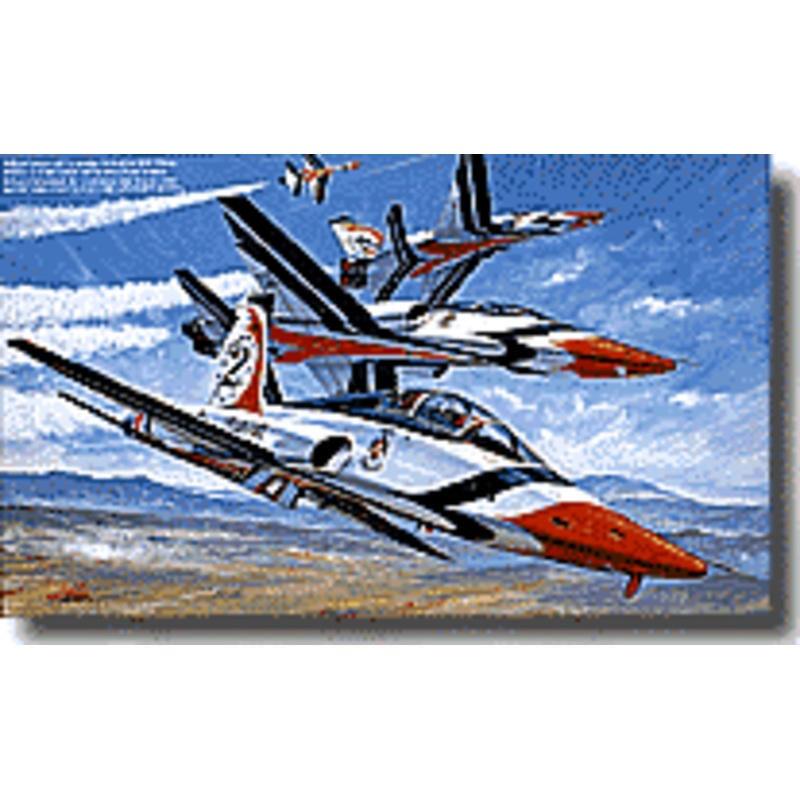 1/48 T-38A Talon "Thunderbirds"