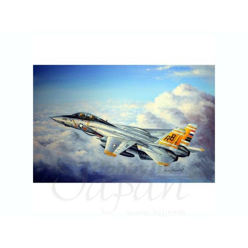 1/48 F-14A Tomcat