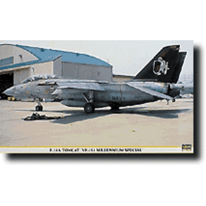 1/48 F-14A Tomcat "VF-154 Black Knights Millennium Special"