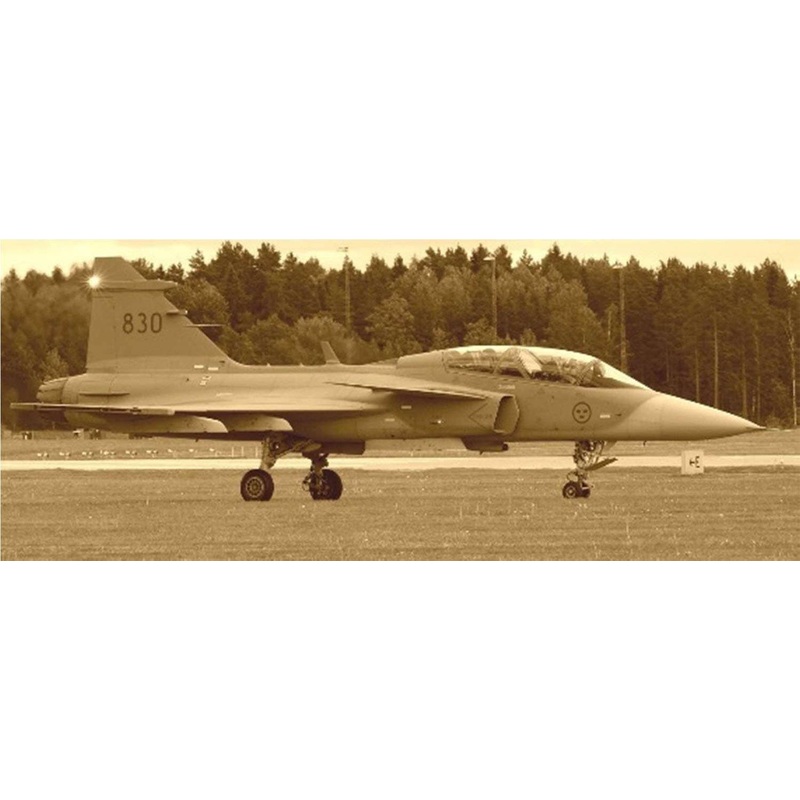 1/48 Swedish Air Force JAS39 Gripen Two-Seater Type