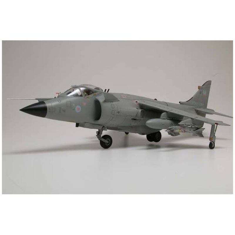 1/24 BAe Sea Harrier FRS1 Set