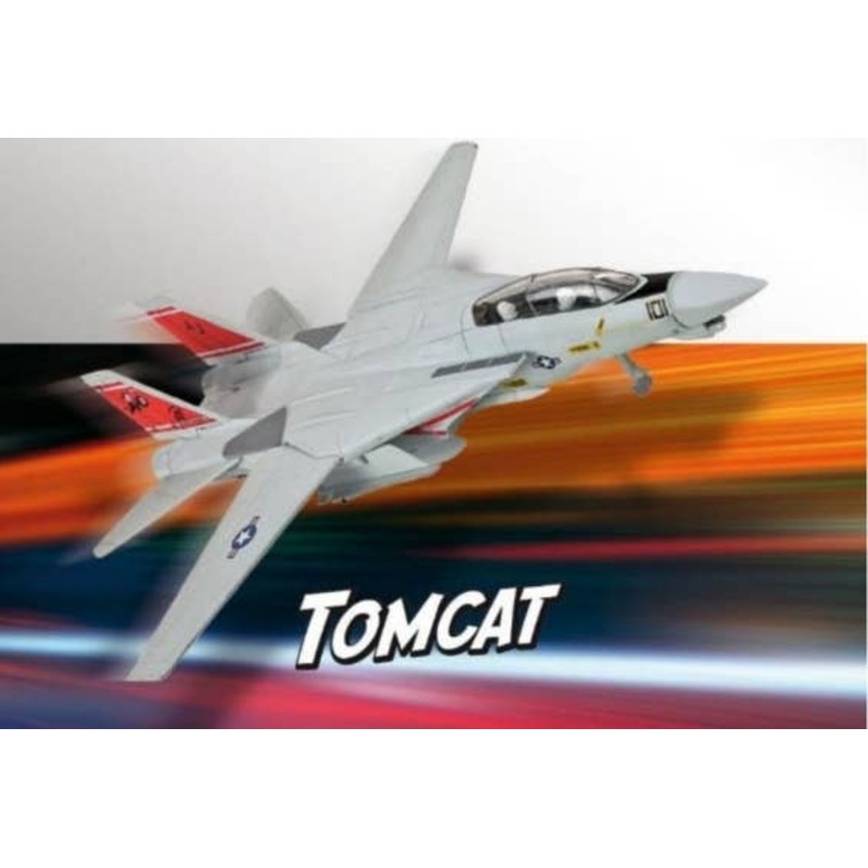 1/100 F-14 Tomcat