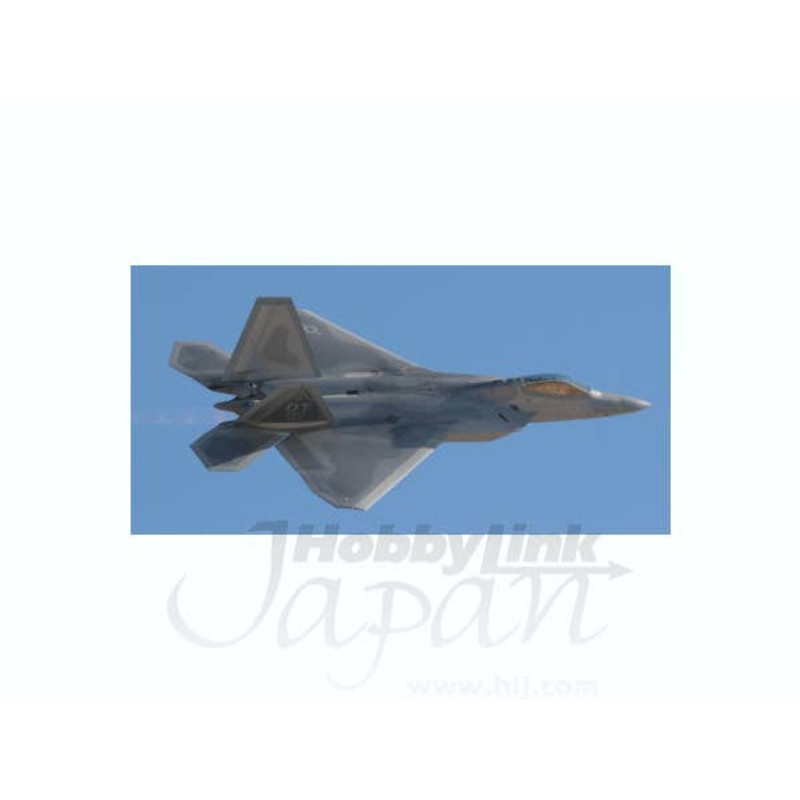 1/144 USAF F-22 422th Test And Evaiuation Squadron (Neris)